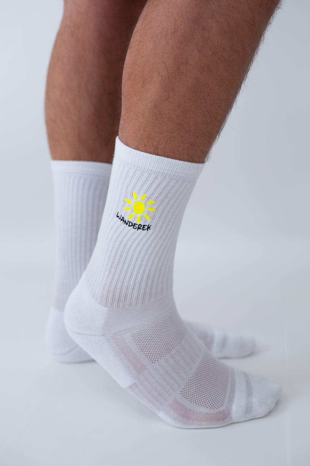 Sunshine state socks