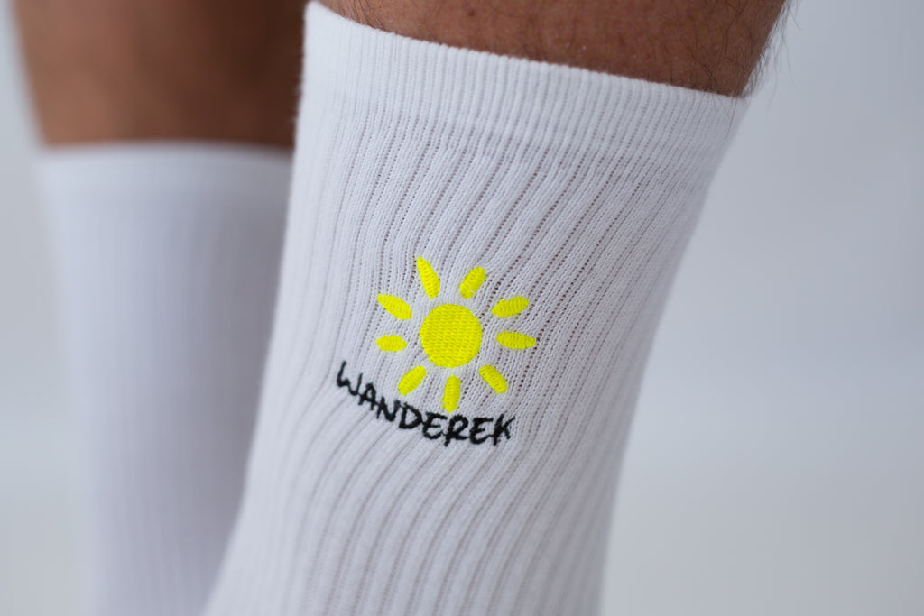 Sunshine state socks